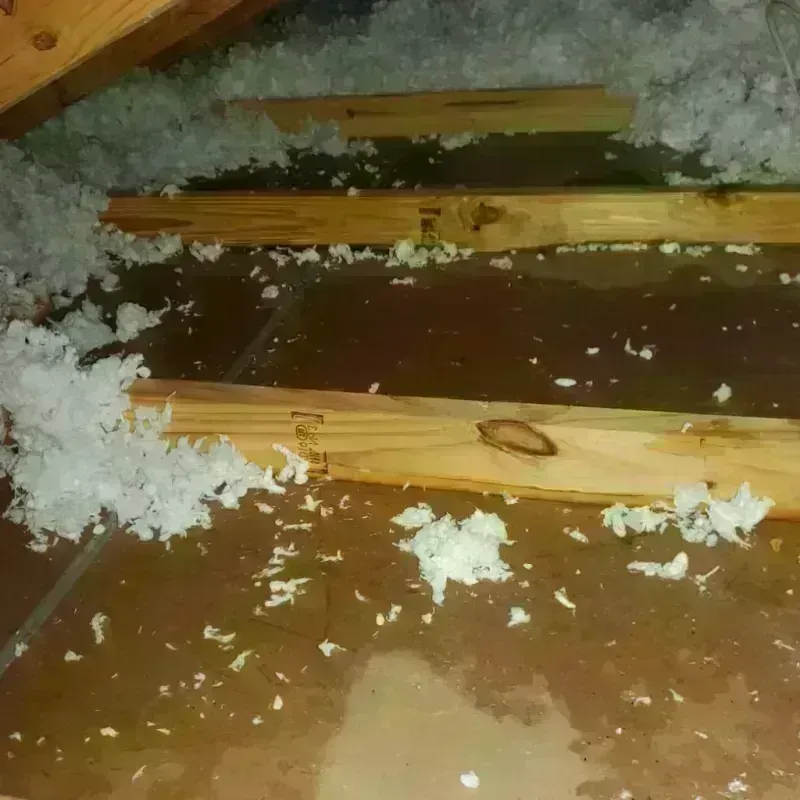 Attic Water Damage in Howard, KS