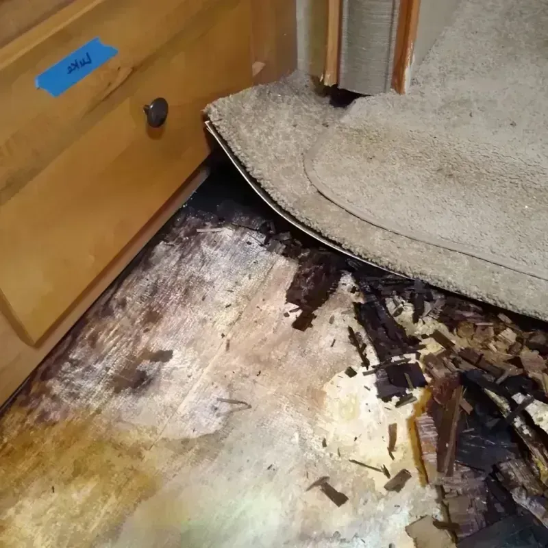 Wood Floor Water Damage in Howard, KS